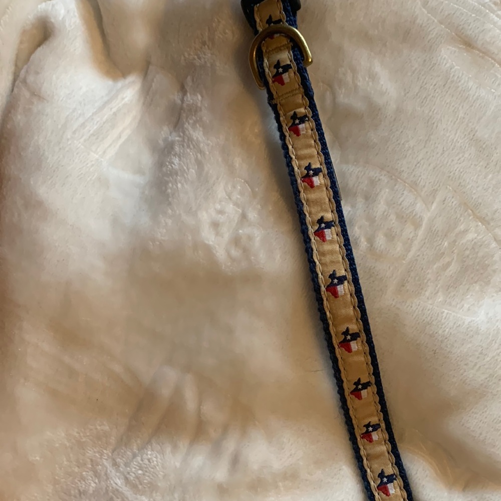 Up Country small Texas theme dog collar